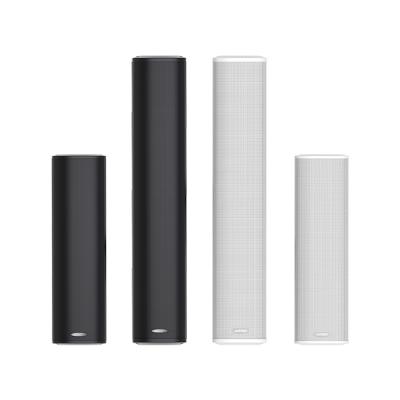 DSP255II Outdoor Waterproof Column Speaker