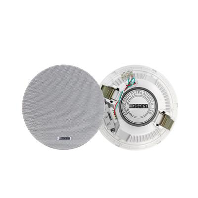 Ceiling Speaker