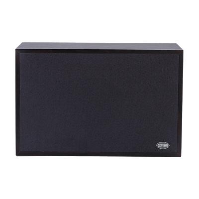 DSP406 5W-10W Beaver board Wall Mount Speaker