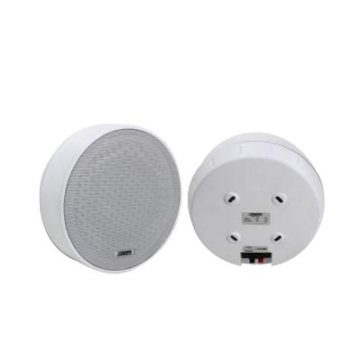 Surface Mount Ceiling Speaker