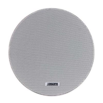   Frameless Ceiling Speaker