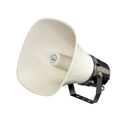 Horn Speaker